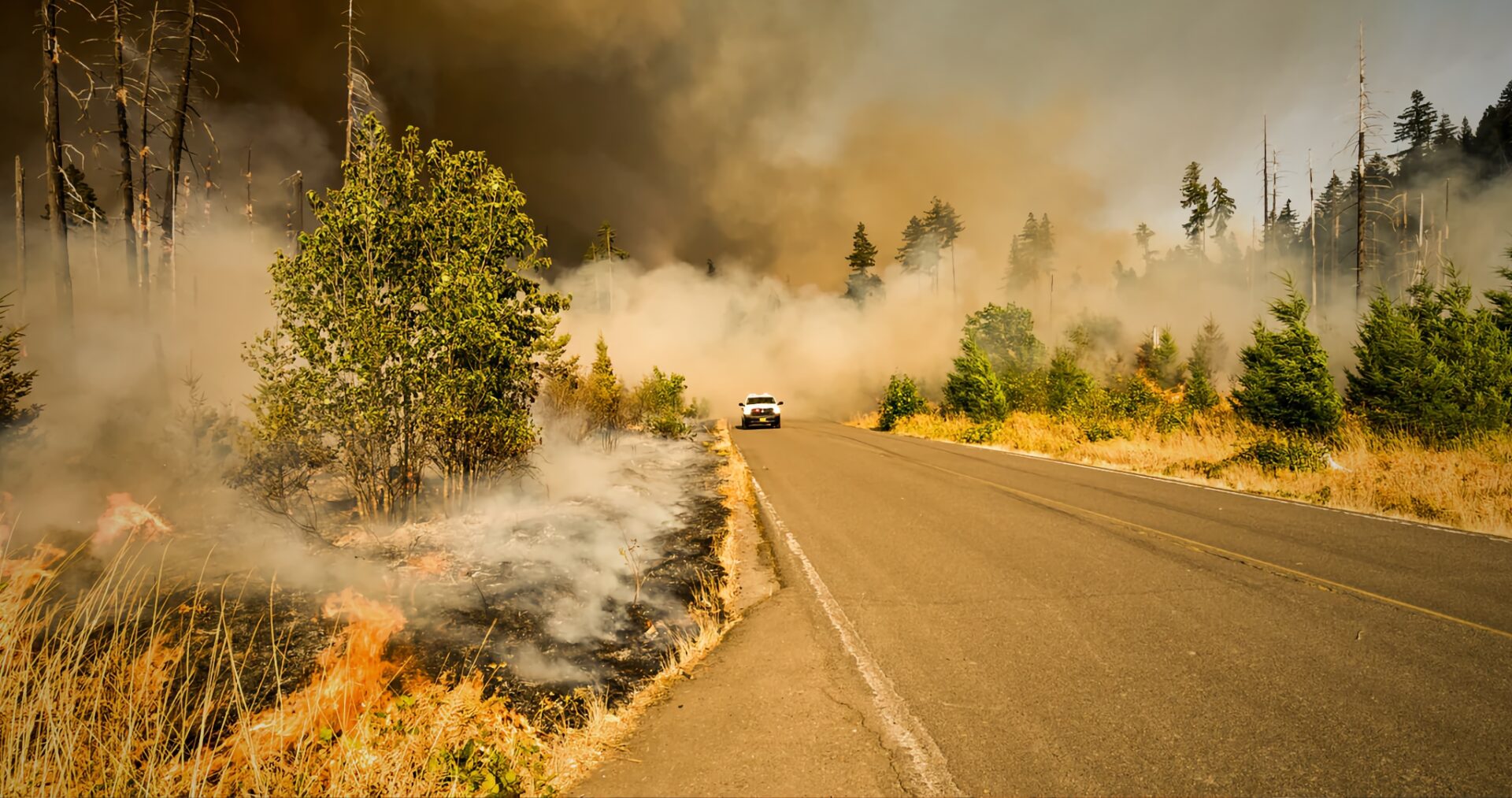 Cambiamenti climatici, agire subito - OggiScienza