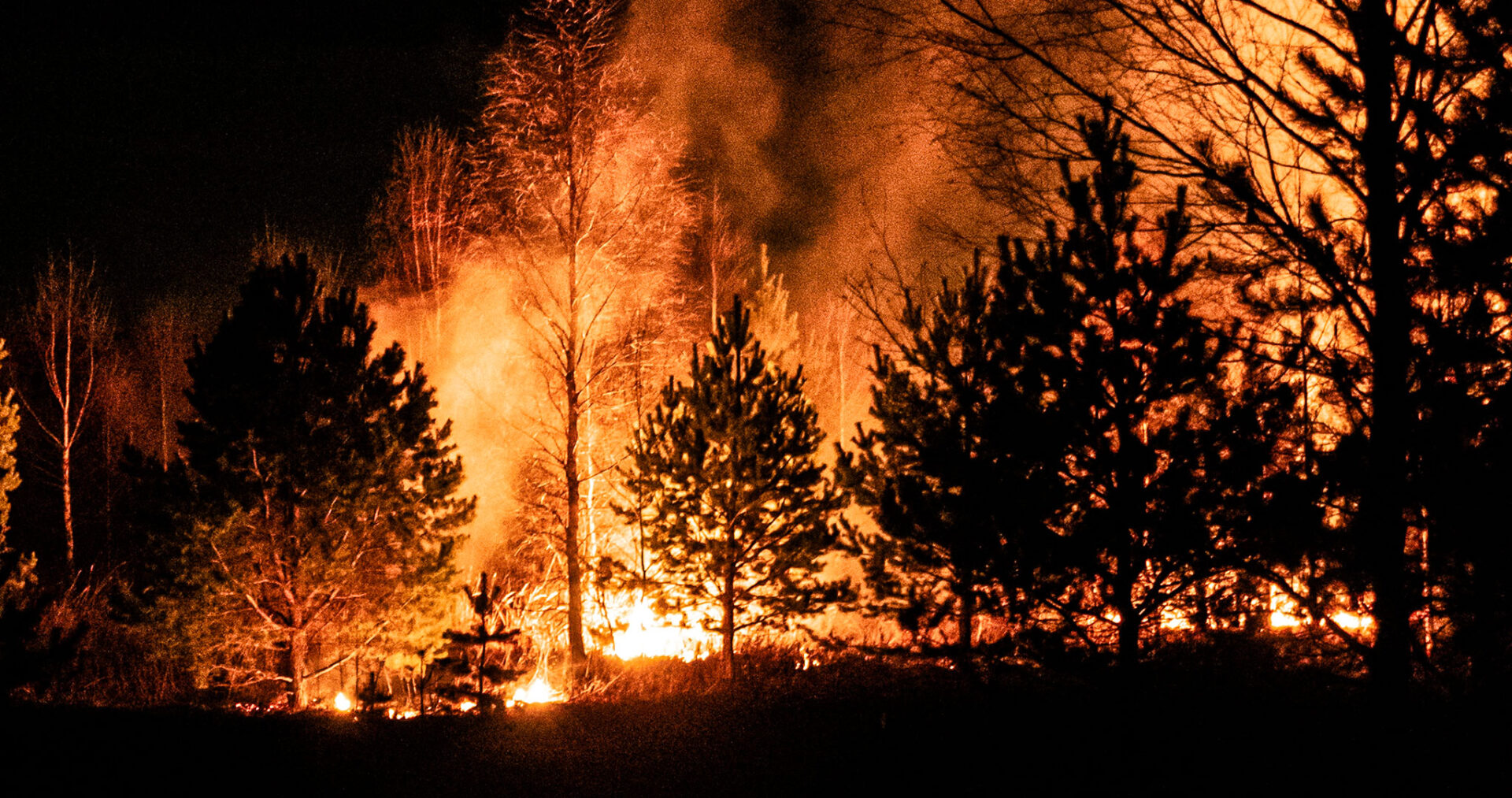 Le aree protette sono particolarmente esposte agli incendi - Openpolis